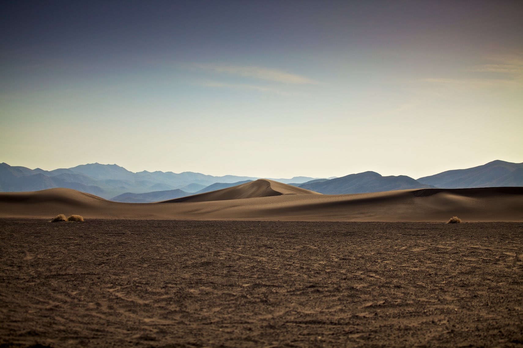LaforetMesquiteDesert02